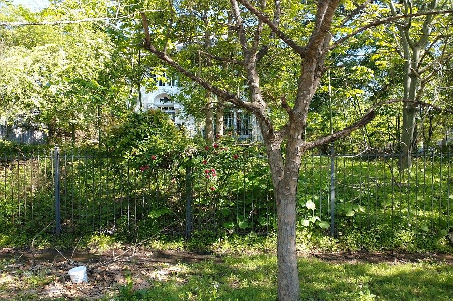 1st image of 302 Atkins Ave