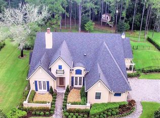 19518 Shady Hammock Ln, Odessa, FL 33556