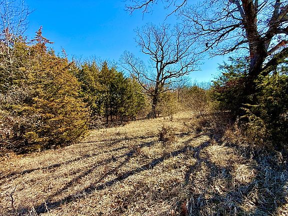 5th image of Coyote Rd