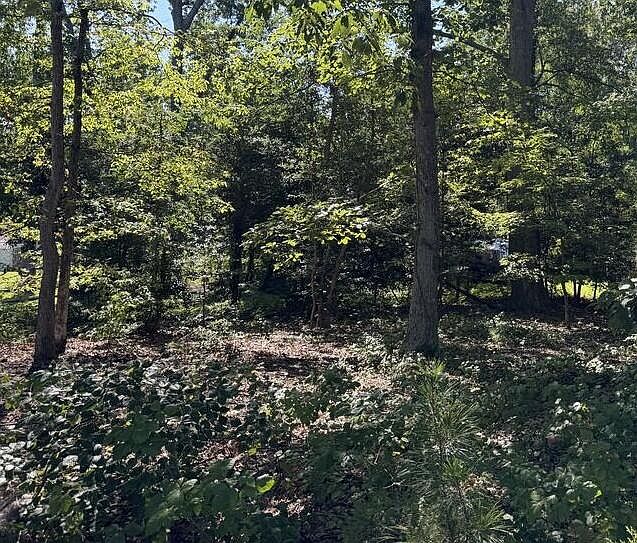 1st image of LOT 45 McCormick Dr