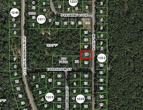 2nd image of 9538 N Lily Dr