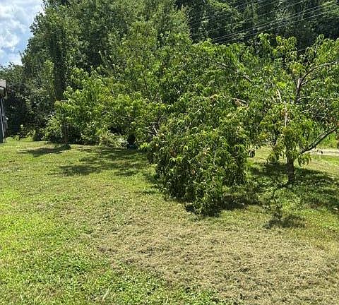 3rd image of 128 Barnes Rd