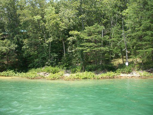4th image of Norris Shores Dr