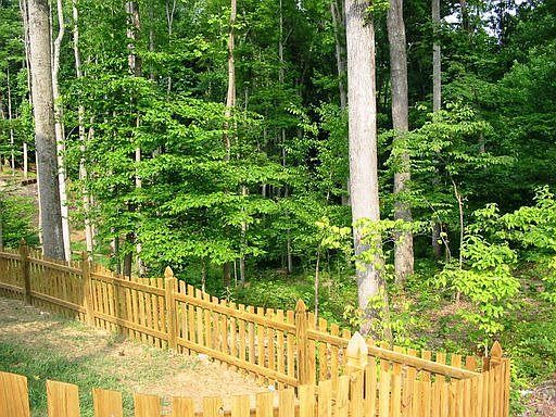 Fenced in back yard facing your woods 