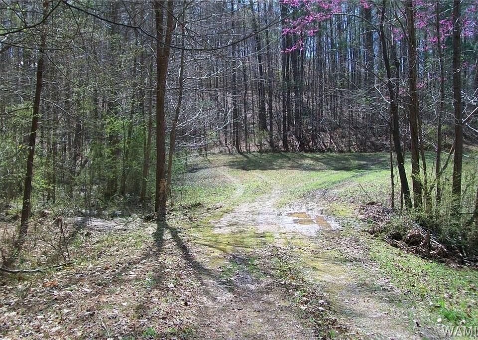 1st image of 4901 Oak Meadow Dr