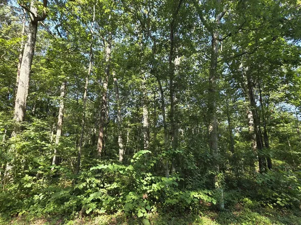 35 County Road 249, Leesburg, AL 35983