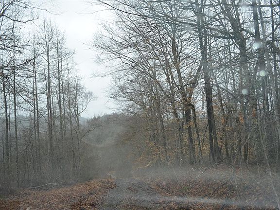 3rd image of 128 Towncreek Drive