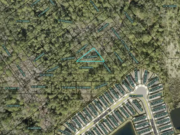 6087 ORANGE TREE Drive, St. Augustine, FL 32095