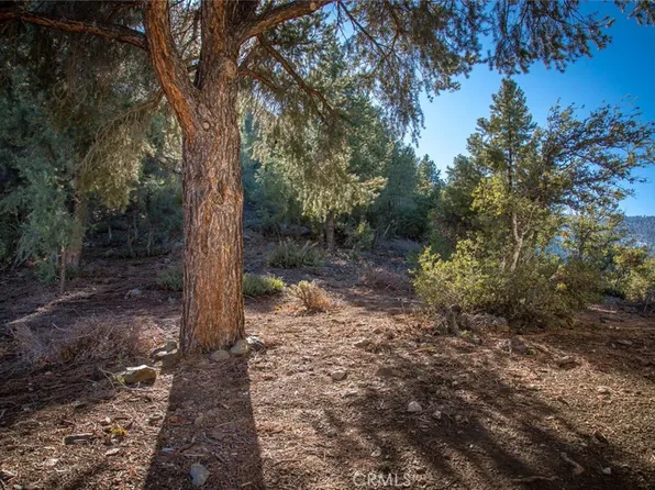 1824 Saint Anton Dr #318, Pine Mountain Club, CA 93222