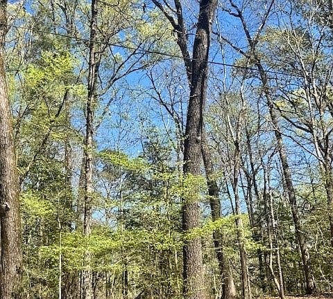 4th image of LOT 7 Pine Trl
