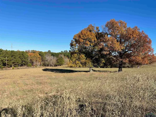 Tbd Sam Hall Rd, Hallsville, TX 75650