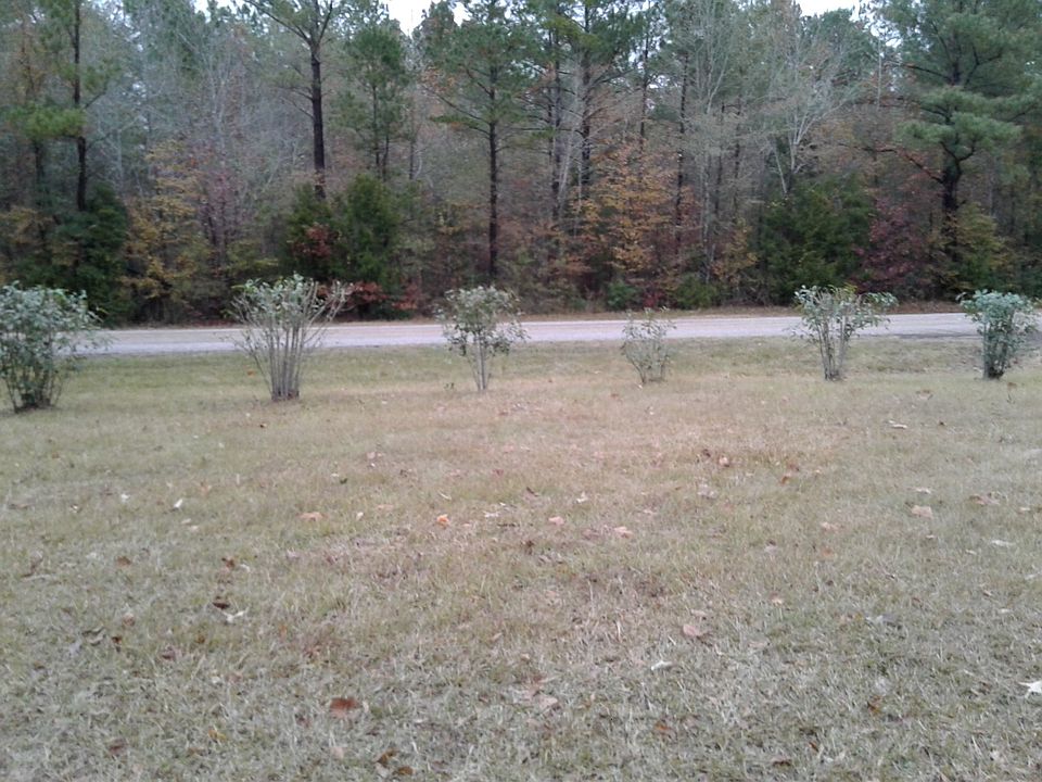 1st image of 16104 Fm 95 S