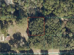 0 NE 164th Ln, Citra, FL 32113