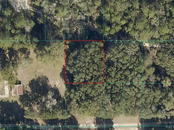 0 NE 164th Ln, Citra, FL 32113