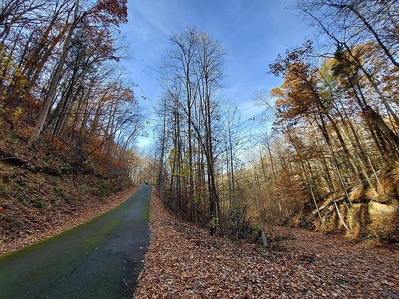 2nd image of 45 Sonshine Ridge Rd Lot 4-5