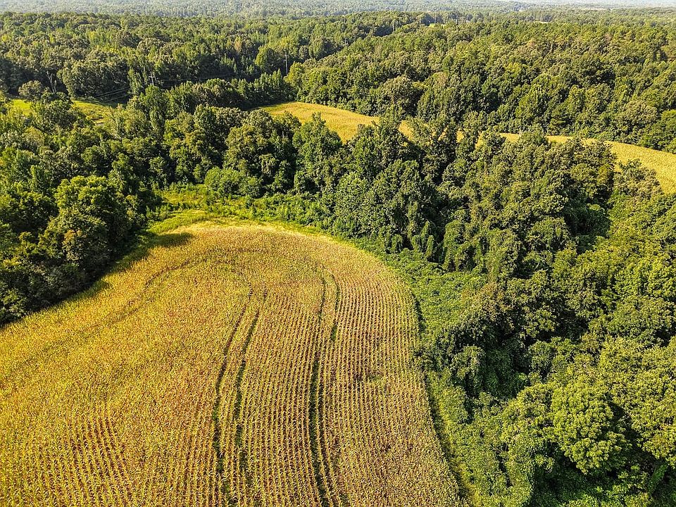 5 Dji Fly 20260812 092630 0532 1787000957547 Photo