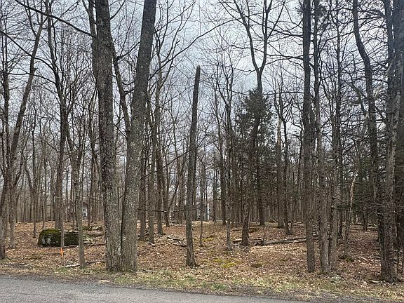 3rd image of 4265 Chestnuthill Dr