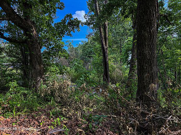 3rd image of County Road 816