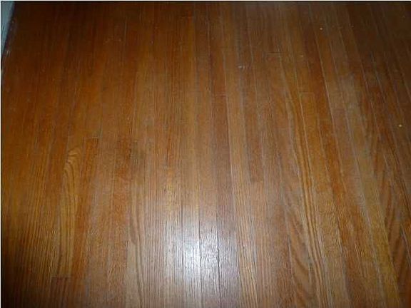 4th image of 2801 Bayard Park Dr