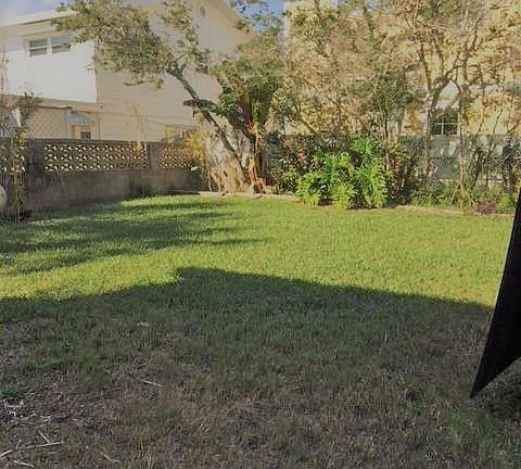 Shared Yard