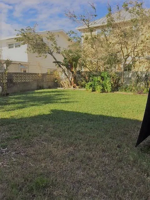 Shared Yard