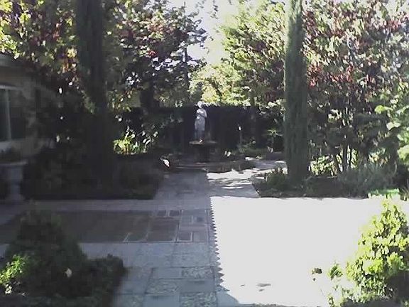 back1