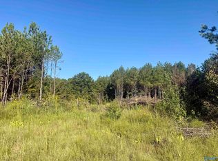 368 Jones Chapel Rd, Piedmont, AL 36272