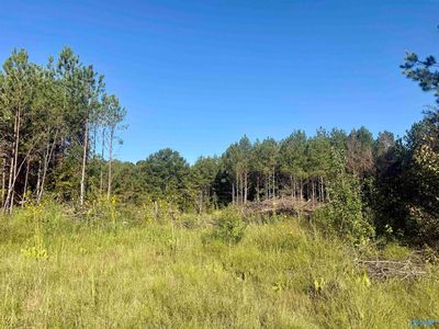 368 Jones Chapel Rd, Piedmont, AL, 36272
