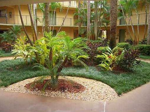 3rd image of 8005 SW 107th Ave APT 206