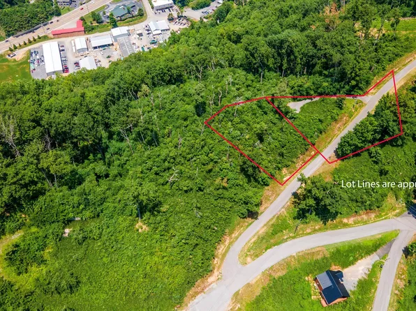 766 Ellis Ogle Rd, Gatlinburg, TN 37738