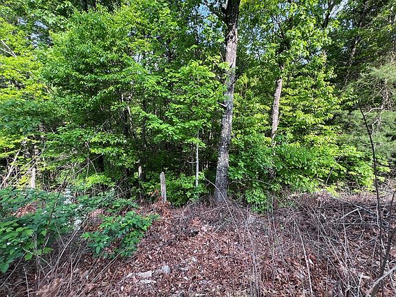 4th image of Lot 1 Weece Mountain