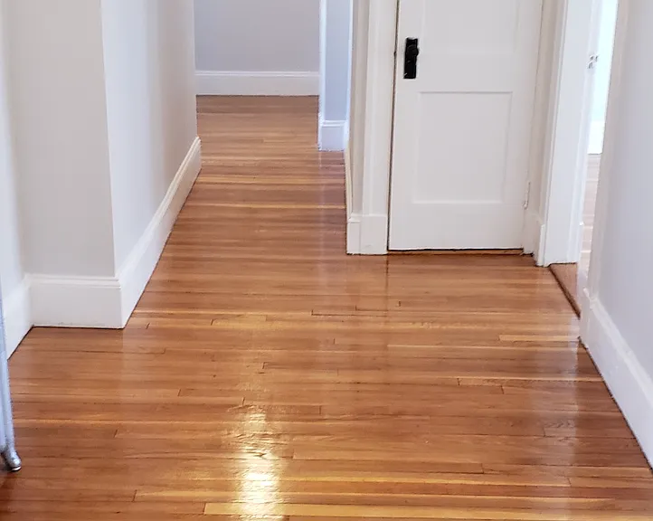 241 Freeman St #10 — Photo 15