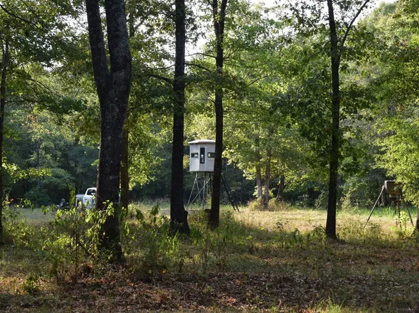 1100 House Rd, Gurdon, AR 71743