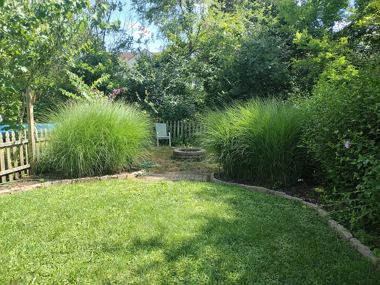 2328 Cedar Ln #B — Photo 36