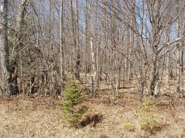 4th Add Margaret Ln Lot 14, Park Falls, WI 54552