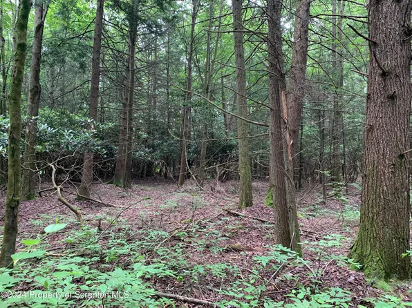 Moon Rd, Sterling, PA 18463