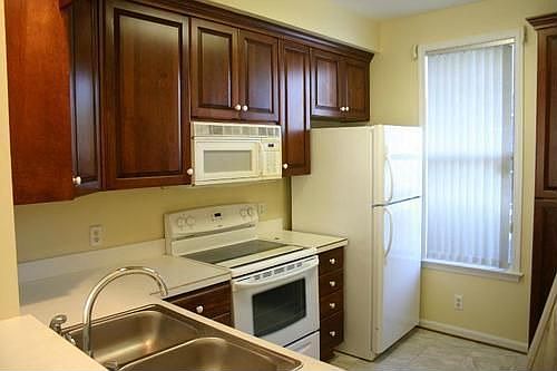 4th image of 117 Persimmon Dr
