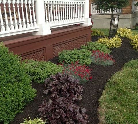 Colorful front landscaping