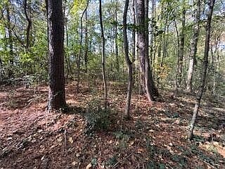 4th image of 0 Ryman Ridge Rd