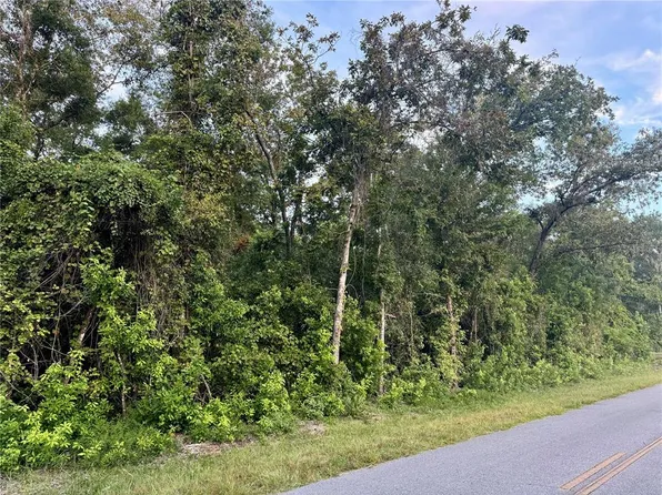 SW Newark Dr Lot 47-48, Fort White, FL 32038