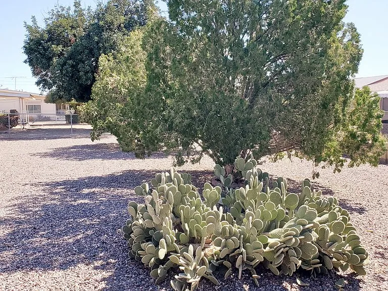 9951 W Clair Dr — Photo 20