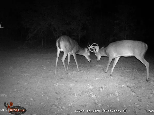 6037 Highway 33 N, Roxie, MS 39661