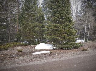 130 Lake Rd, Arrowhead area, CO 81220