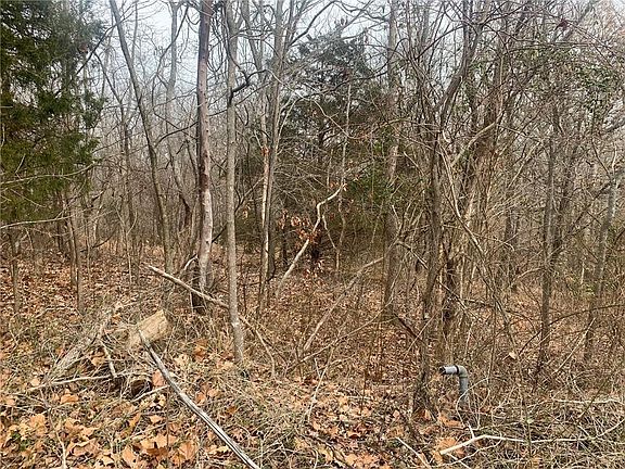 2nd image of Lauder Cir