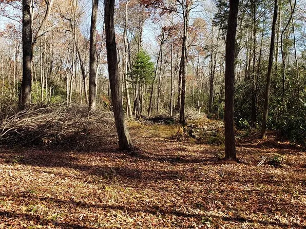 Patton Thicket Rd, Burnsville, NC 28714