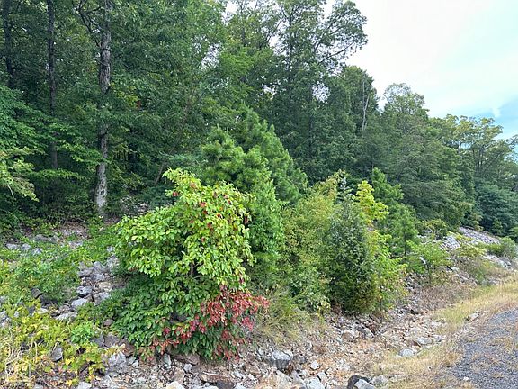 5th image of 4 Heber Springs Rd