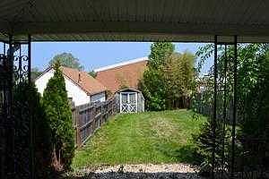 back yard
