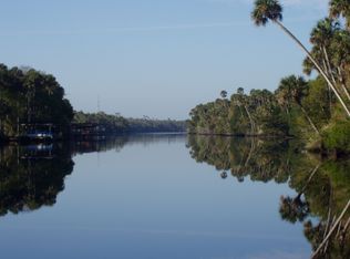 9 Circle Oaks Trl, Ormond Beach, FL 32174