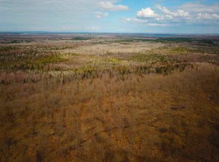 0000-2 Munger Rd, Levering, MI 49718