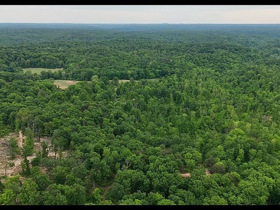 5th image of Cub Run Rd